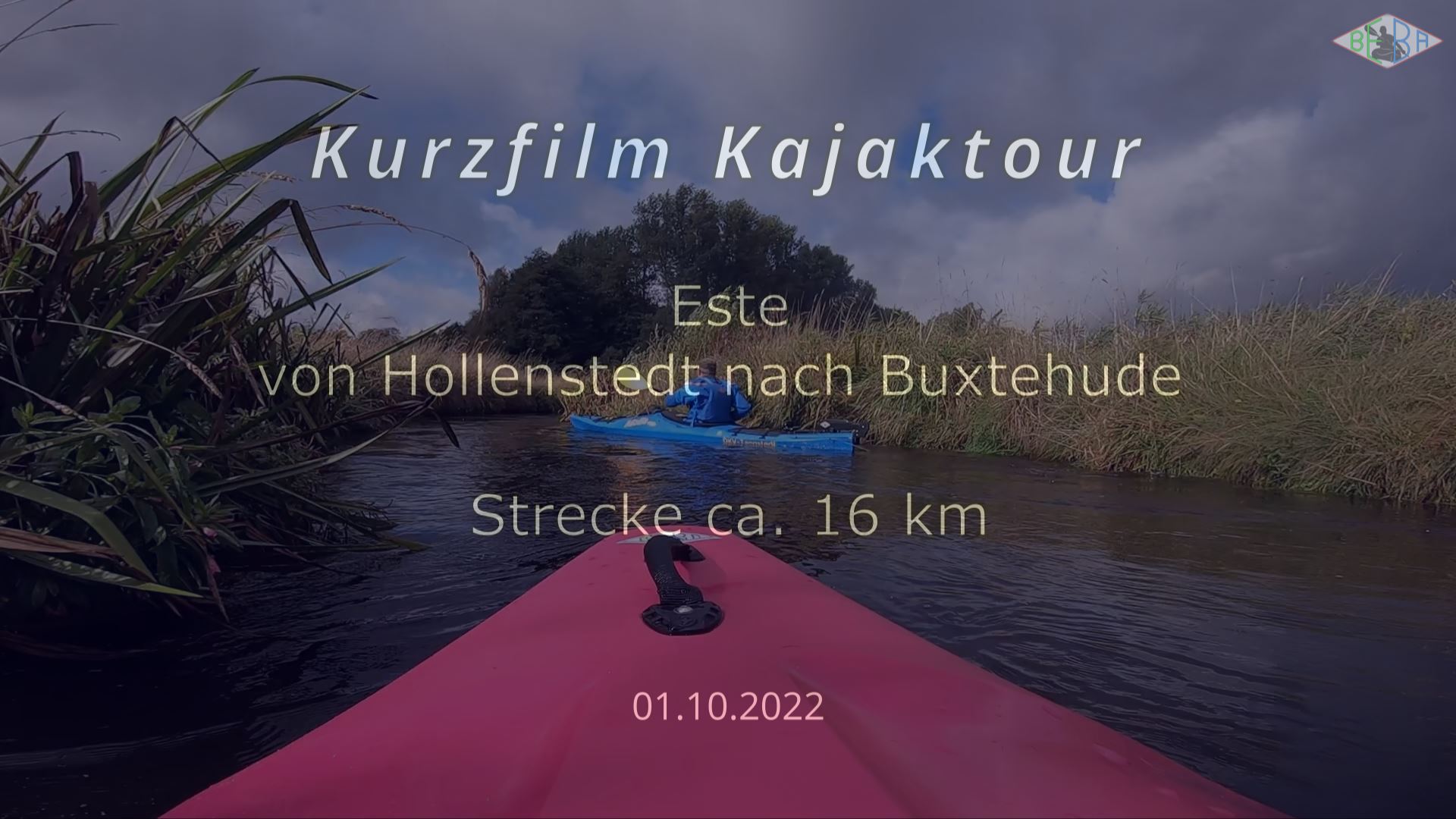 Link zum Video