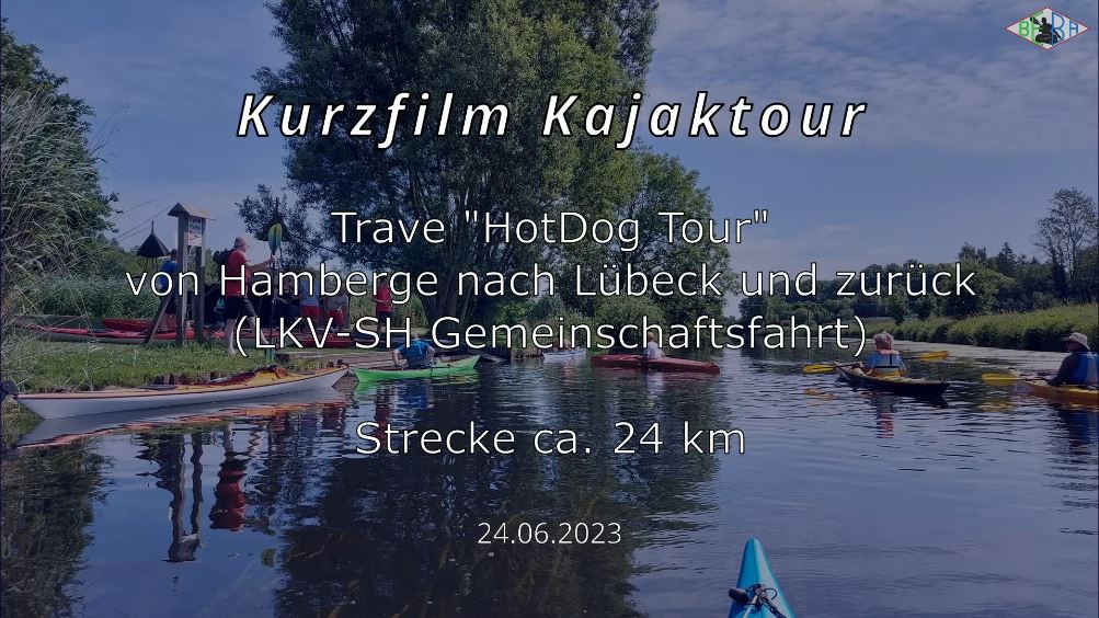 Link zum Video